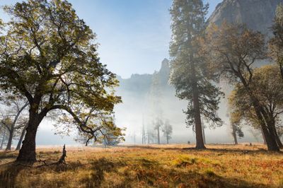 Yosemite Valley, CA
